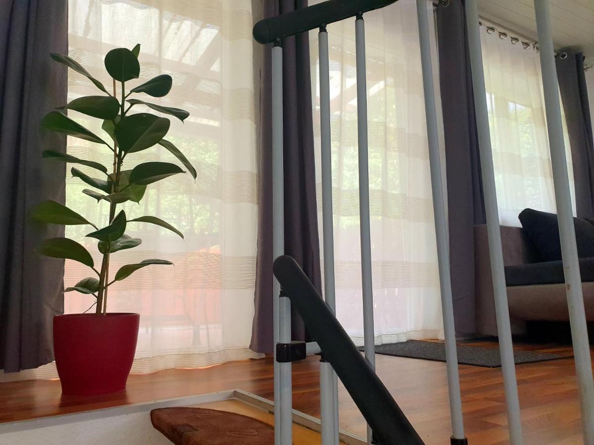 Haus Damian Daire Traben-Trarbach Dış mekan fotoğraf