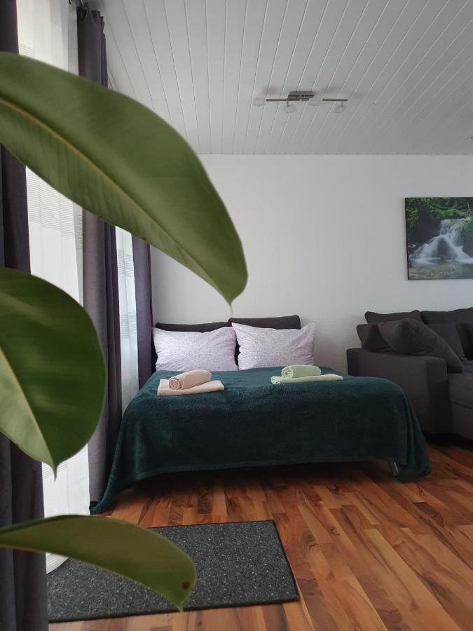 Haus Damian Daire Traben-Trarbach Dış mekan fotoğraf